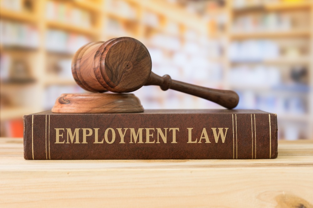 German Employment Law for Foreigners Your Guide to Working in Germany